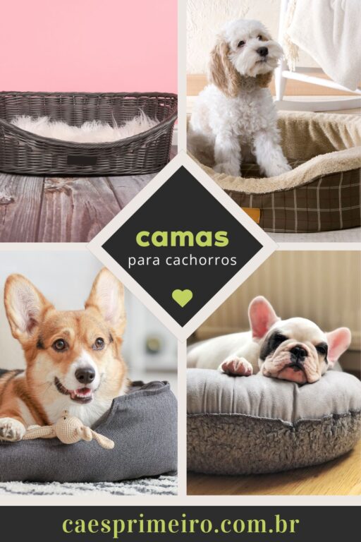 cama para cachorro