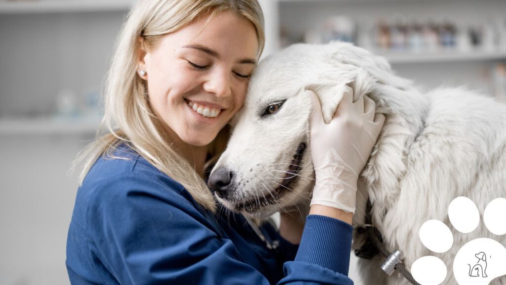 seguros para cachorros