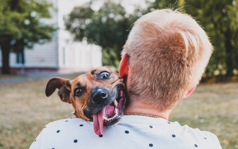 mês do cachorro louco