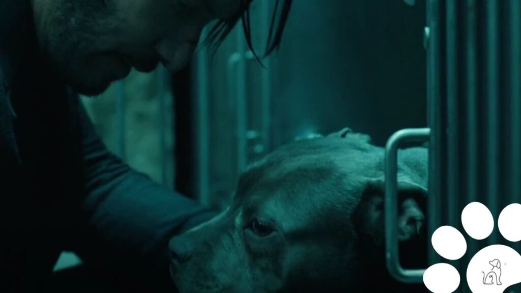 cachorro de John Wick II