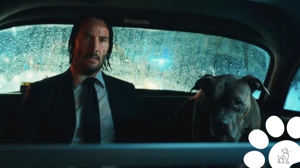 cachorro de John Wick II