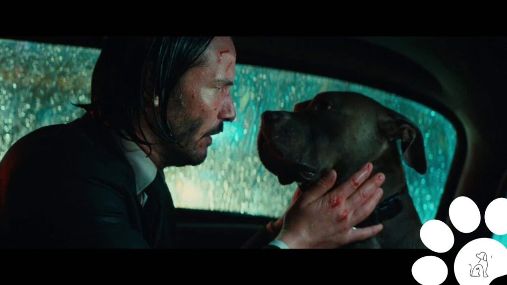 cachorro de John Wick II