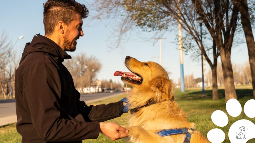 Nomes pra cachorro macho