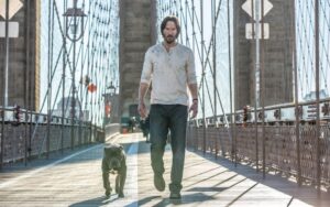 cachorro de John Wick II