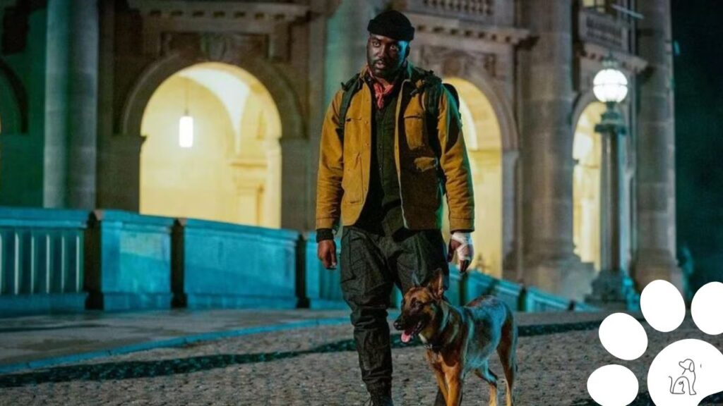 cachorros de john wick