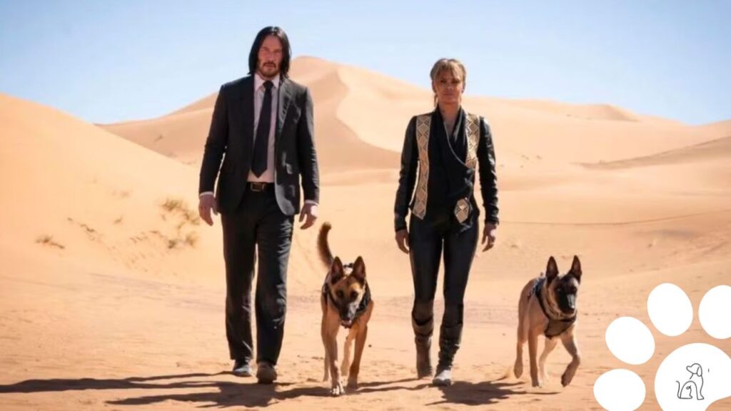 cachorros de john wick