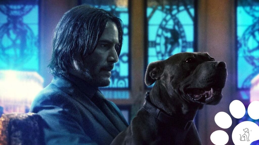 cachorros de john wick