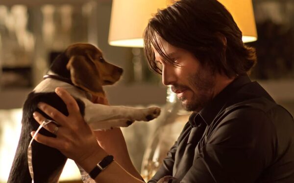 cachorros de john wick