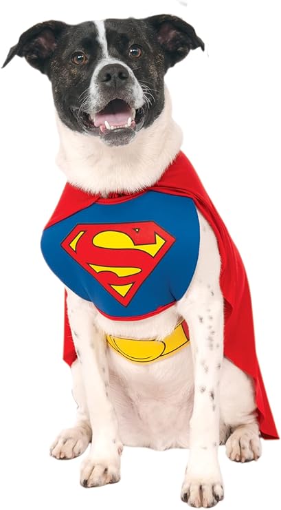 fantasias de cachorro super man