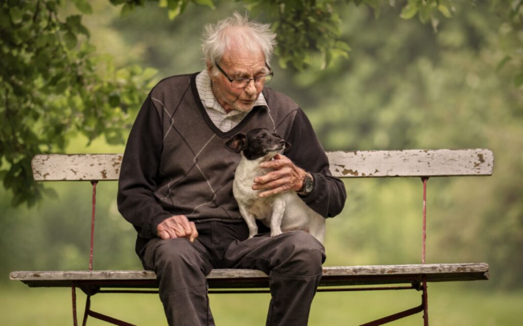 Melhores Fotos de Cachorros de 2024