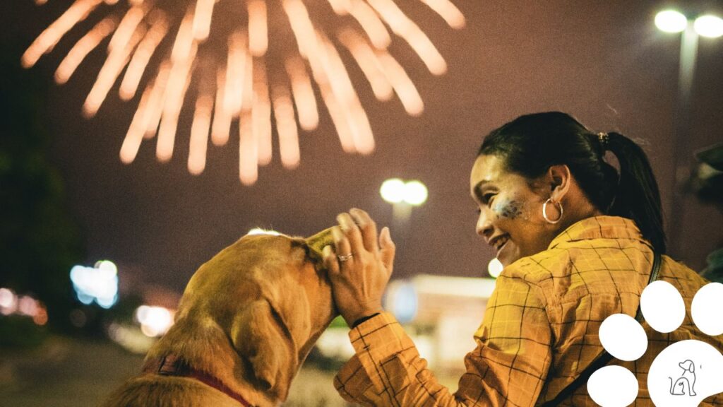 Cachorro com medo de fogos