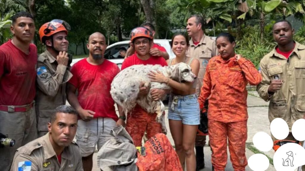 Cachorro da Anitta é resgatado