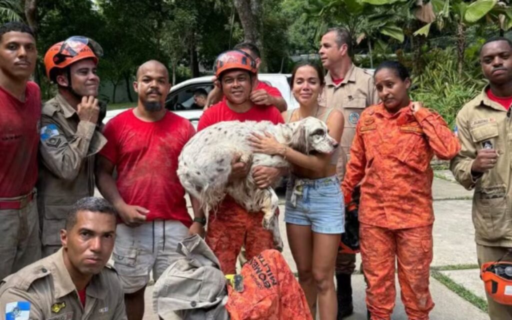 Cachorro da Anitta é resgatado