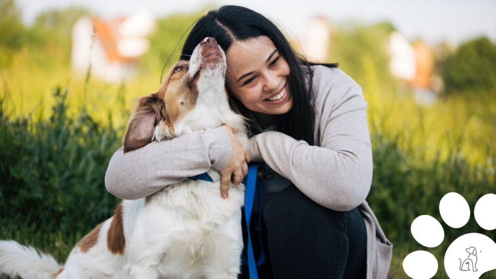 Cadastro Nacional de Animais de Estimação