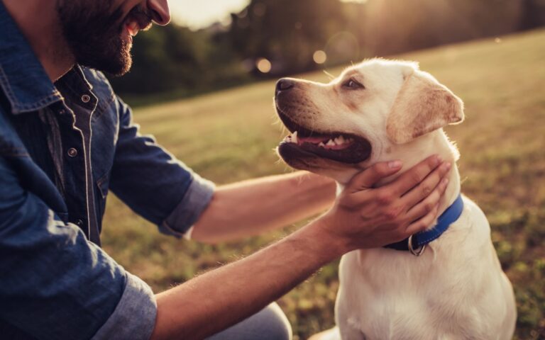 Cadastro Nacional de Animais de Estimação