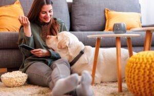 Filmes de Natal com cachorros
