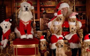 Filmes natalinos com cachorros