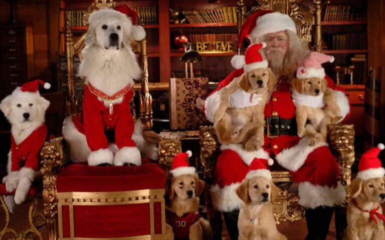 Filmes natalinos com cachorros