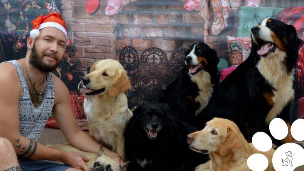 Presépio com cachorros