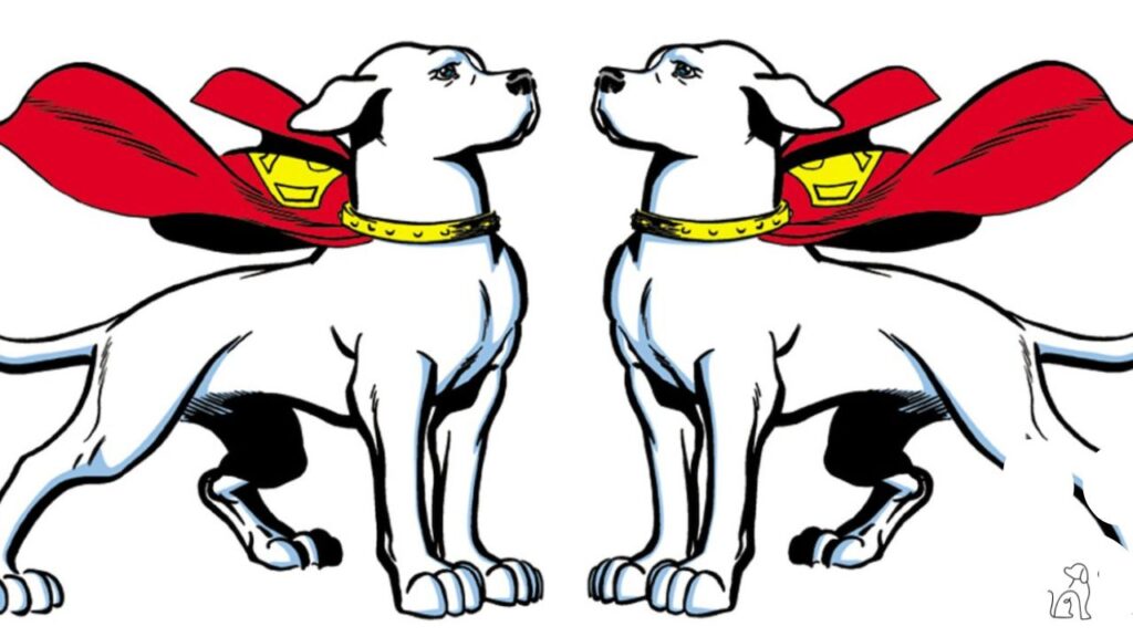 cachorro Krypto