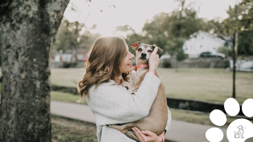 cães podem diminuir depressão