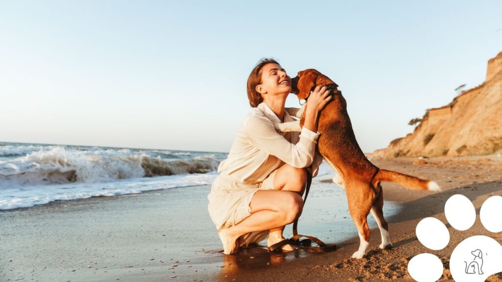 cães podem diminuir depressão