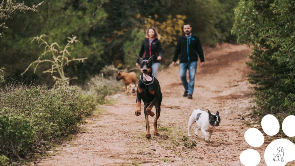 cães podem diminuir depressão