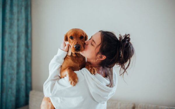 cães podem diminuir depressão