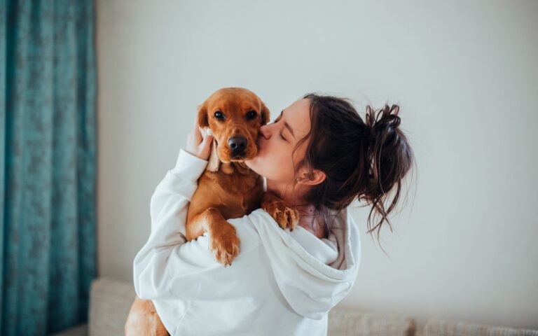 cães podem diminuir depressão