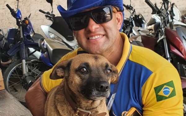 carteiro amigo dos animais