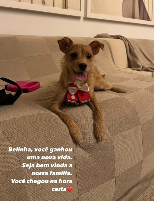 sabrina sato adota cachorrinha