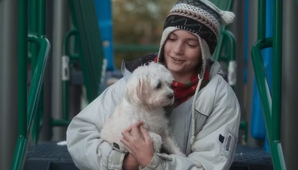 Filmes natalinos com cachorros