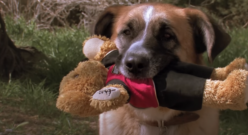 Filmes de Natal com cachorros