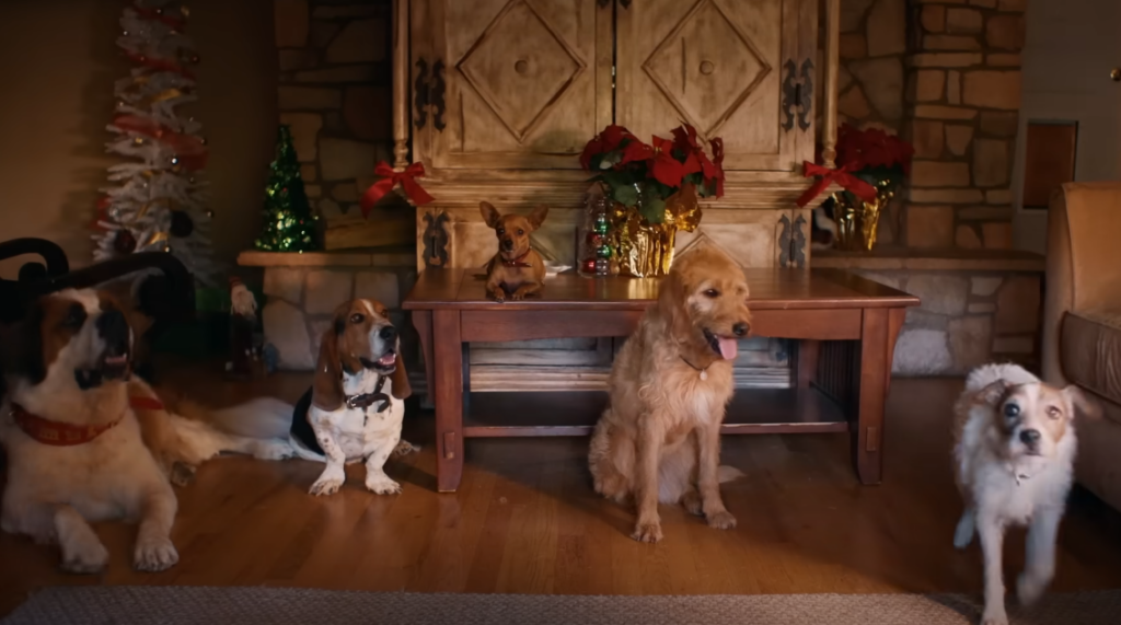 Filmes de Natal com cachorros