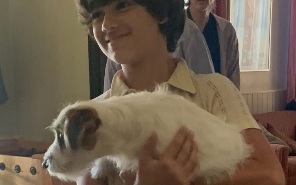 Pimpão de Ainda Estou Aqui ganha prêmio