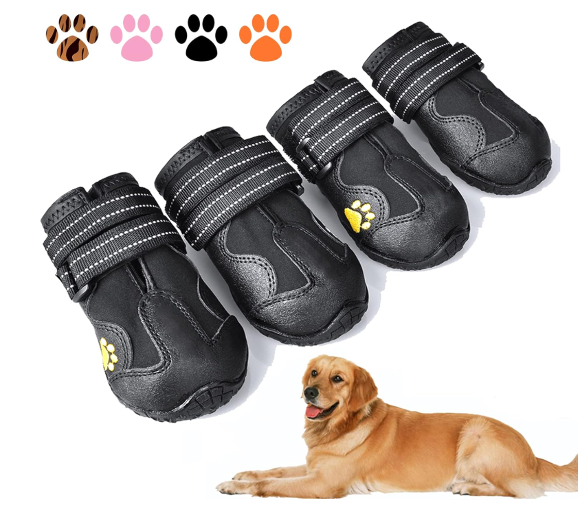 sapatos para cachorros