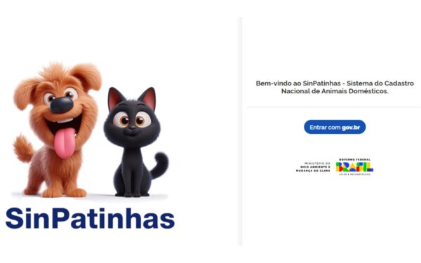 Governo Federal cria cadastro para cachorros