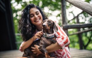 cachorros entendem informações de humanos
