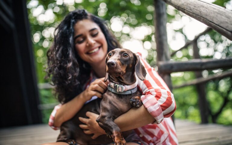 cachorros entendem informações de humanos