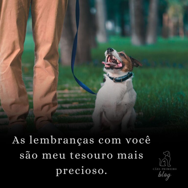 Frase para cachorro que morreu