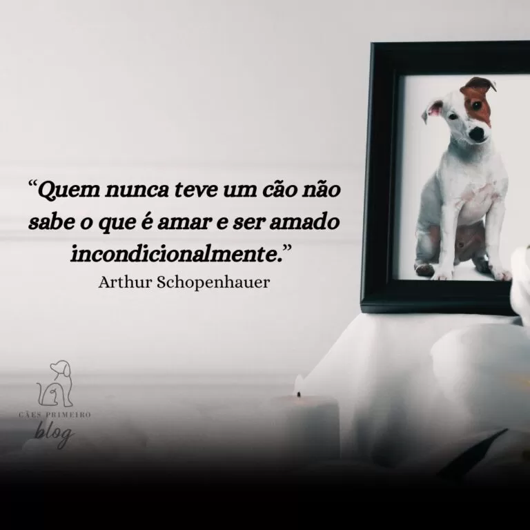 Frase para cachorro que morreu