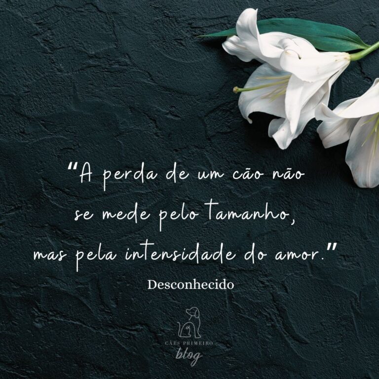 Frase para cachorro que morreu