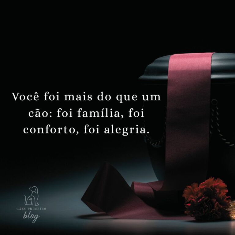 Frase para cachorro que morreu