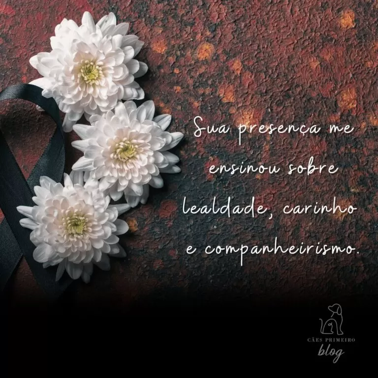 Frase para cachorro que morreu