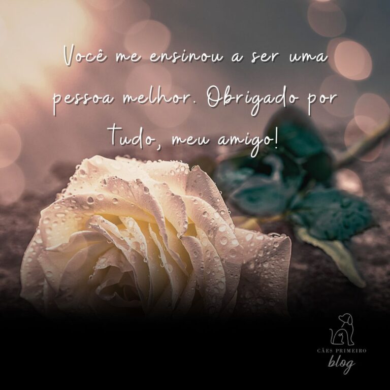 Frase para cachorro que morreu