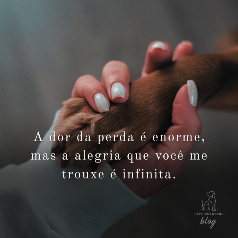 Frase para cachorro que morreu