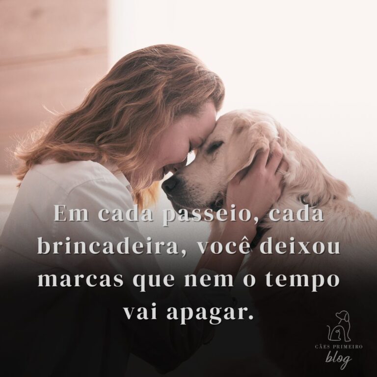 Frase para cachorro que morreu