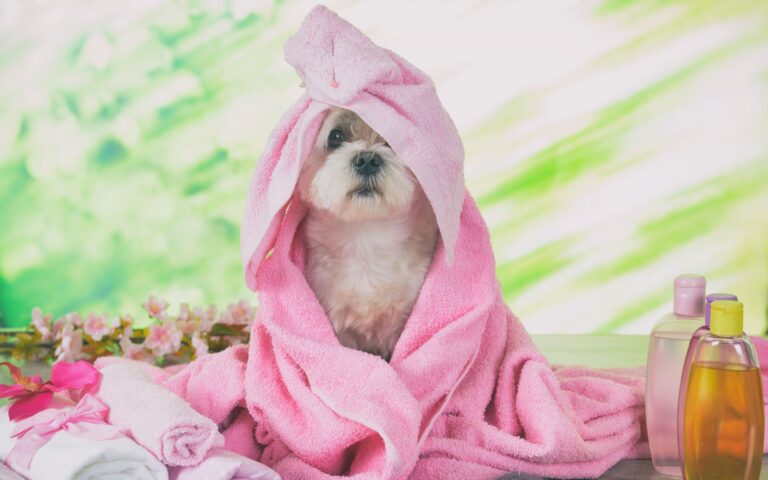 Melhor shampoo neutralizador de odores para cachorro