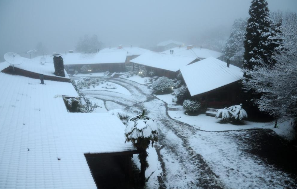 Hotel pet friendly Gramado