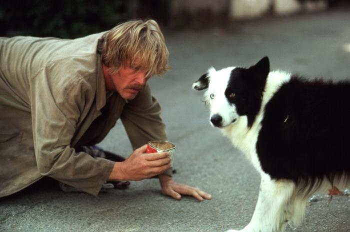 Filmes com Border Collie